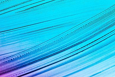 在美国农村打怪！合作动作游戏《穿越乡间路》公布